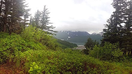 View of Whittier from the peak of a surrounding mountain.